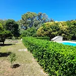Lemontree Apartments