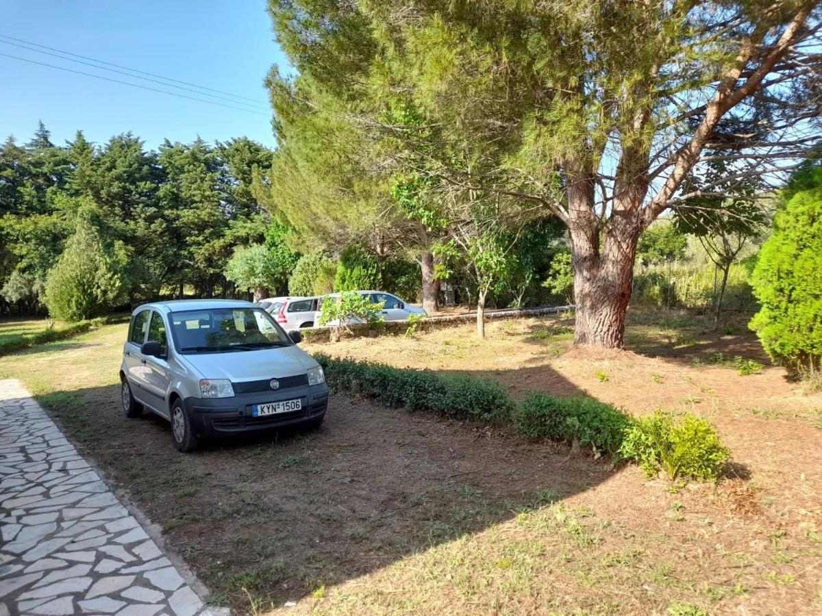 Lemontree Kassiopi