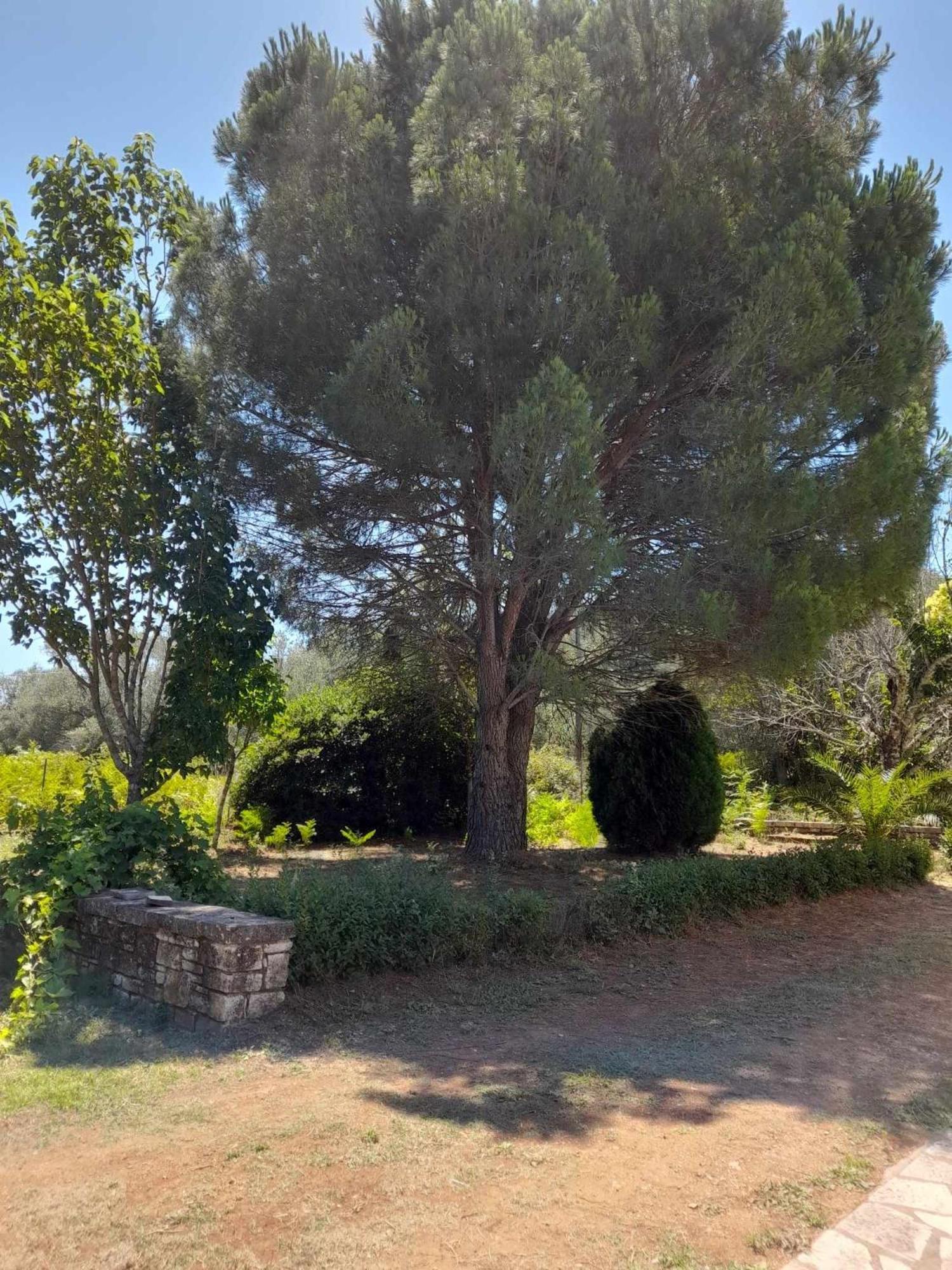 Appartement Lemontree *