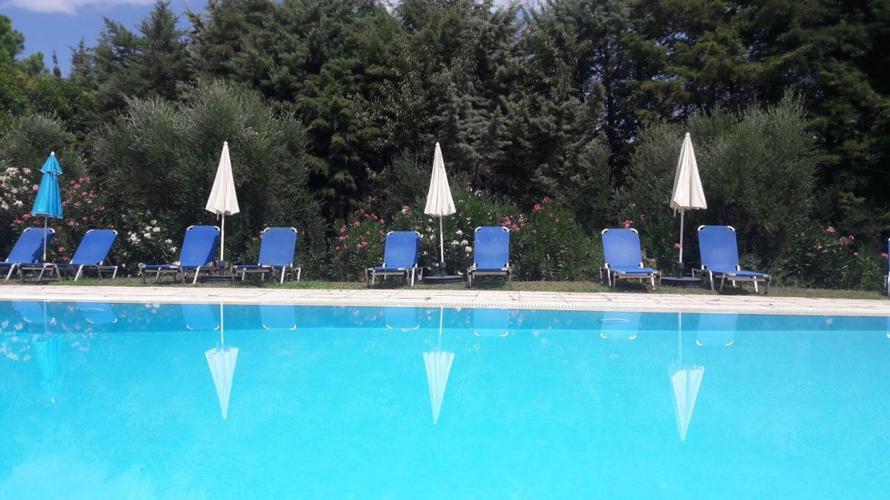 Lemontree * Kassiopi